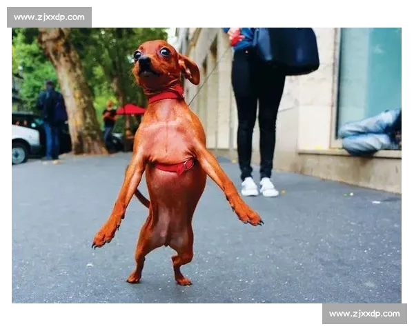 激情碰撞！世界杯小组赛的那些“爱恨情仇”，镜头捕捉永恒瞬间